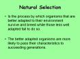 Natural Selection PowerPoint PPT Presentation