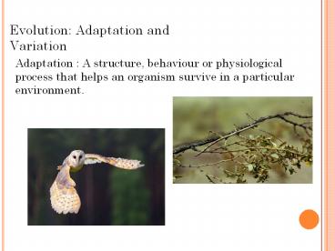 Evolution: Adaptation and Variation