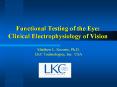 Functional Testing of the Eye: Clinical Electrophysiology of Vision PowerPoint PPT Presentation