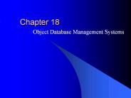 Object Database Management Systems