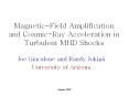 Magnetic-Field Amplification and Cosmic-Ray Acceleration in Turbulent MHD Shocks PowerPoint PPT Presentation