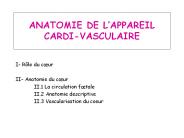 ANATOMIE DE L