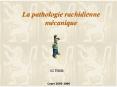 La pathologie rachidienne m PowerPoint PPT Presentation