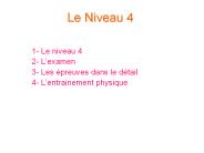 Le Niveau 4