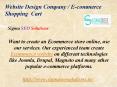 Website Design Company / E-commerce Shopping  Cart PowerPoint PPT Presentation