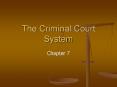 The Criminal Court System PowerPoint PPT Presentation