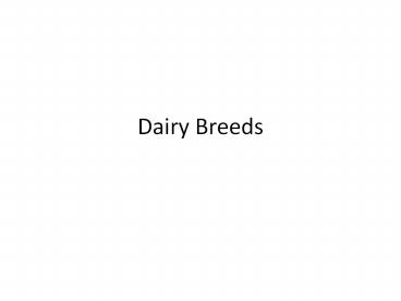 Dairy Breeds