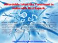 Affordable Fertility Treatment in India PowerPoint PPT Presentation