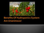 Benefits Of Hydroponics System Are Unanimous!
