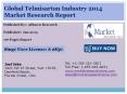 Global Telmisartan Market 2014 Size, Share, Growth, Trends, Demand and Forecast PowerPoint PPT Presentation