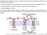 Regulaci