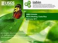 IABIN Website PowerPoint PPT Presentation