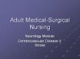 Adult Medical-Surgical Nursing PowerPoint PPT Presentation