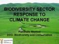 BIODIVERSITY SECTOR RESPONSE TO CLIMATE CHANGE   Fundisile Mketeni DDG: Biodiversity and Conservation PowerPoint PPT Presentation