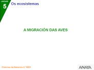 Diapositiva 1