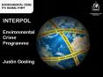 The INTERPOL Environmental Crime Programme PowerPoint PPT Presentation