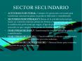 SECTOR SECUNDARIO PowerPoint PPT Presentation