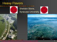 Heavy Flavors