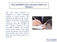 How profitable is the real estate business in Singapore PowerPoint PPT Presentation