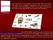Pest Control Services in Oshawa