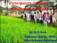 Participatory Irrigation Management in Odisha PowerPoint PPT Presentation
