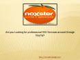 Are you Looking for professional SEO Services around Orange County? PowerPoint PPT Presentation