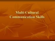 Multi Cultural Communication Skills