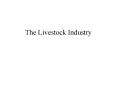 The Livestock Industry PowerPoint PPT Presentation
