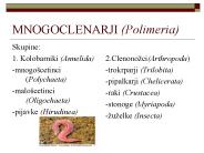 MNOGOCLENARJI (Polimeria)
