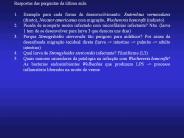 Kein Folientitel