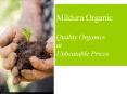 Country Farm Organics PowerPoint PPT Presentation