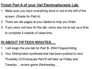 Finish Part A of your Gel Electrophoresis Lab.