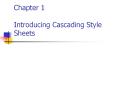 Chapter 1 Introducing Cascading Style Sheets PowerPoint PPT Presentation