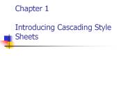 Chapter 1 Introducing Cascading Style Sheets