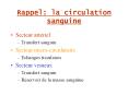 Rappel: la circulation sanguine PowerPoint PPT Presentation
