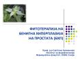 FITOTERAPIJA NA BENINIGNA HIPERPLAZIJA NA PROSTATA (BHP) PowerPoint PPT Presentation