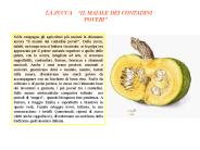 LA ZUCCA  