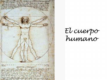 El cuerpo humano