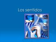 Los sentidos