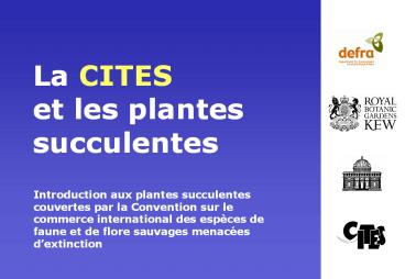 La CITES et les plantes succulentes