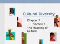 Cultural%20Diversity PowerPoint PPT Presentation