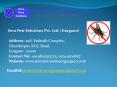 Termite Treatment Gurgaon-Best Services at very affordable rates PowerPoint PPT Presentation