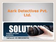 Private Investigator