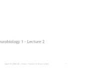 Evolution of nervous systems