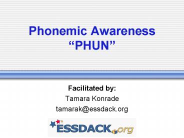 presentation player overlay