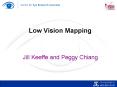 Low Vision Mapping PowerPoint PPT Presentation
