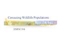 Censusing Wildlife Populations PowerPoint PPT Presentation