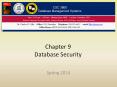 Chapter%209%20Database%20Security PowerPoint PPT Presentation