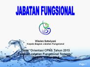 POLA PIKIR PEMBINAAN PNS