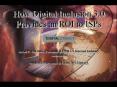 How Digital Inclusion 3.0 Provides an ROI to ISPs   David P. McClure, President PowerPoint PPT Presentation